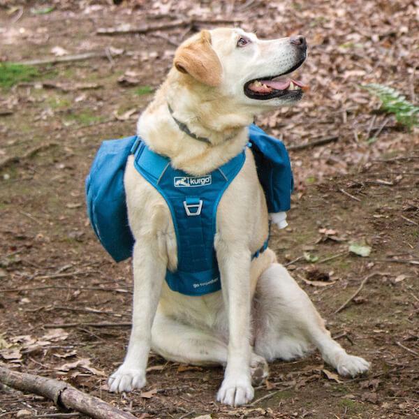 Kurgo RSG Pack Pannier Blau